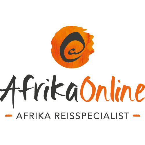 Logo - AfrikaOnline